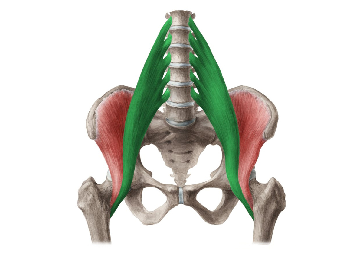 Sval psoas a trauma