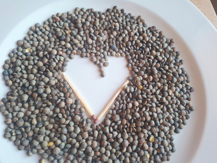 čočka zelená malá francouzská